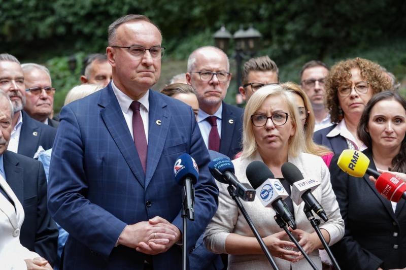 Członkostwo w partii – korzyści, wady i jak zacząć