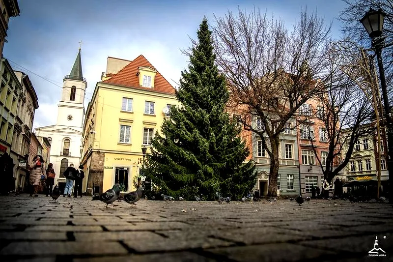 Kto został prezydentem Zielonej Góry? Poznaj nowego lidera miasta!
