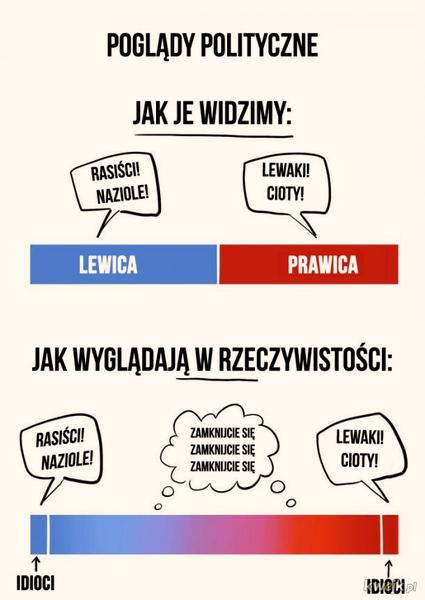 Ekonomia w polityce