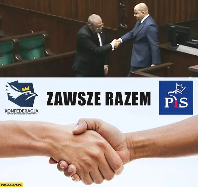 Konfederacja i PiS