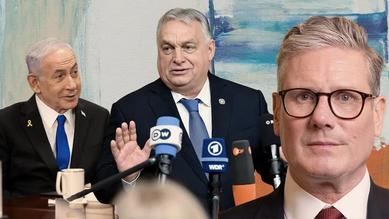 Przewodnik wyborczy