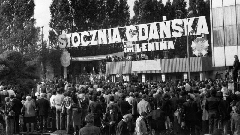 Solidarność w polityce