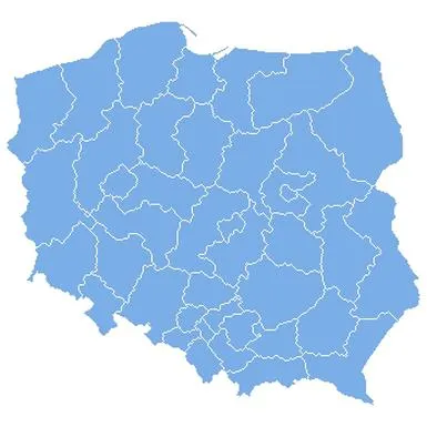 Wybory 2011