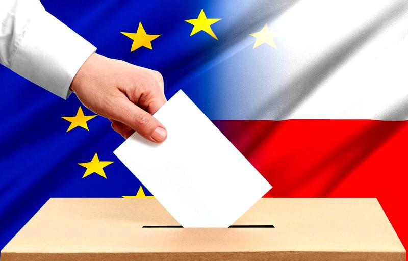 Wybory do europarlamentu