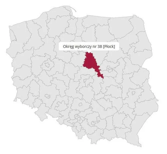 Wybory w Płocku